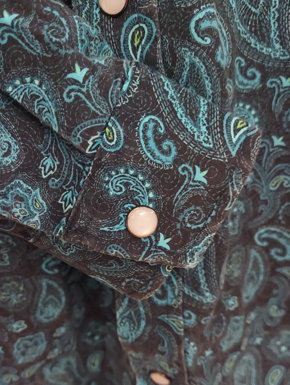 Panhandle Boy's Teal Black Paisley Western Long Sleeve Pearl Snap Shirt Sz M/10 - Picture 7 of 9